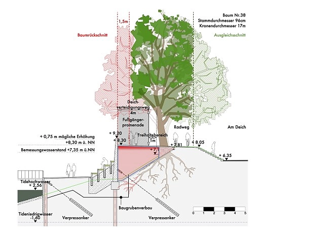 Auswirkungen auf Baumbestand