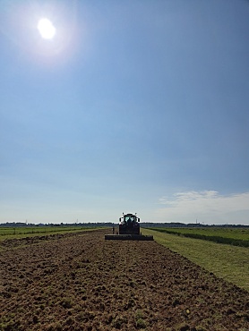 Ein Versuch zur mechanischen Grünlanderneuerung wird angelegt. Ein Traktor mit Kreiselgrubber fährt unter einem blauen Himmel auf Dauergrünland. Die Sonne scheint.