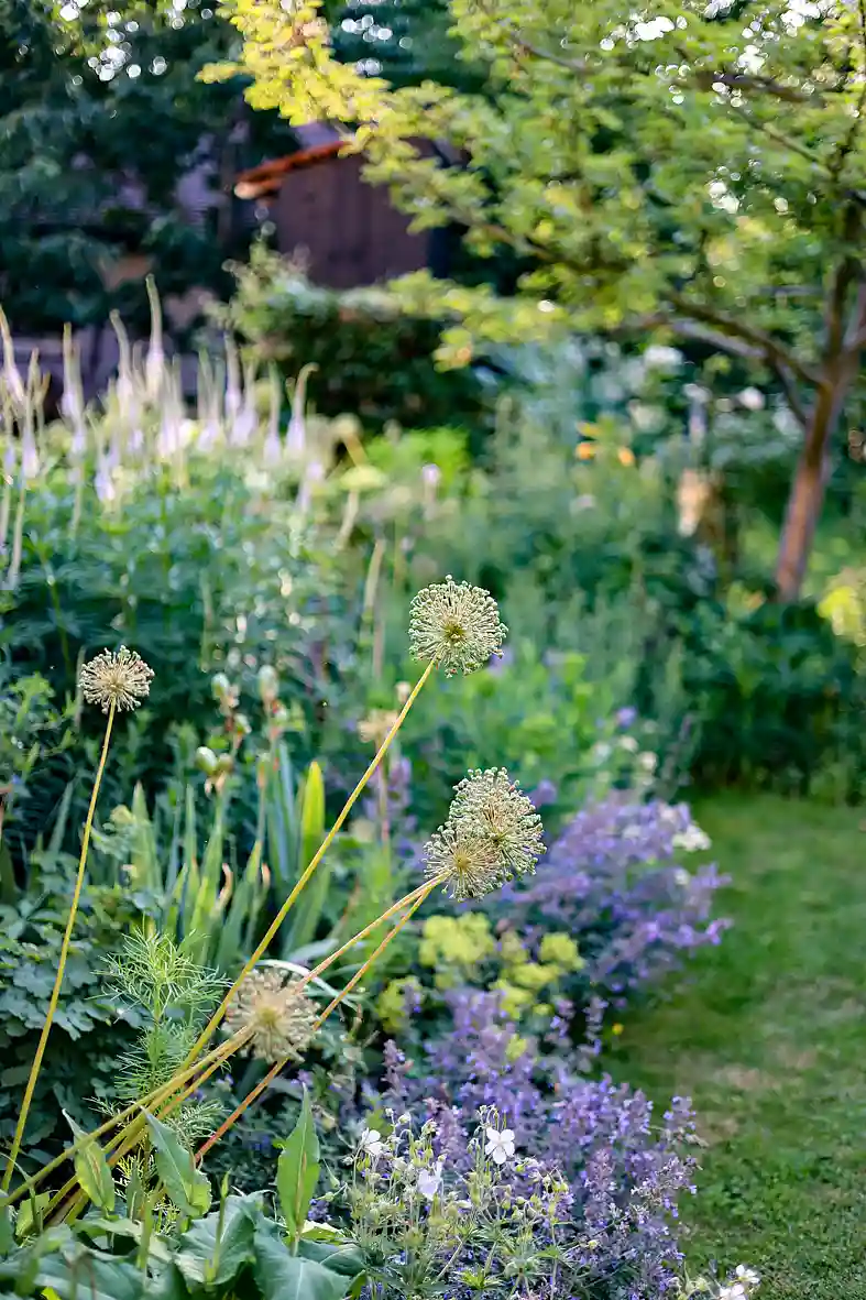 Blühender Garten