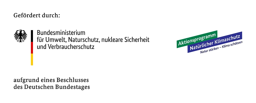 Logo zur Förderung im Rahmen des Aktionsprogramms Natürlicher Klimaschutz (ANK)