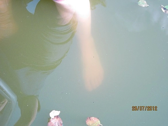 Trübung des Wassers