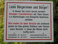 Blaualgenwarnschild