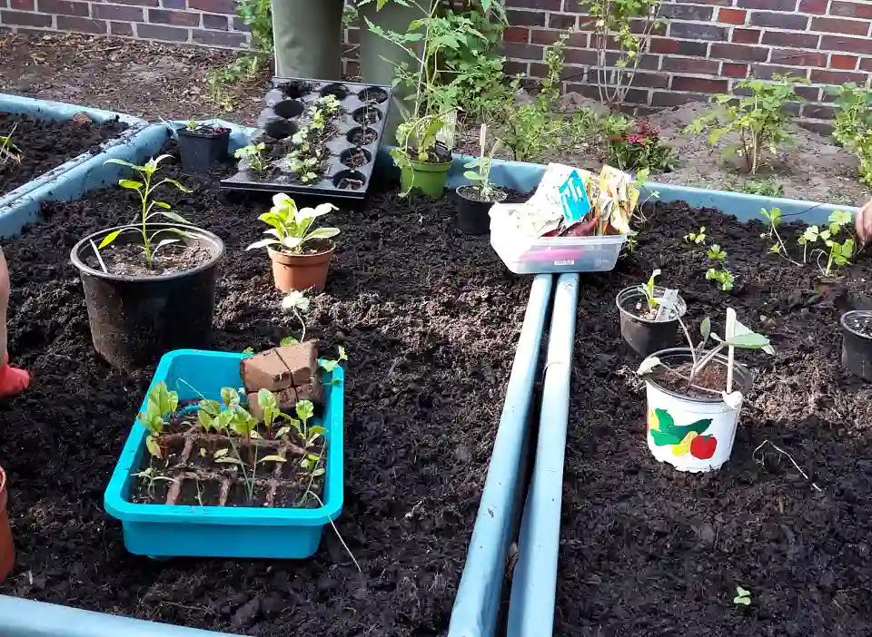 Blumenthaler Gemeinschaftsgarten