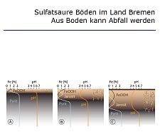 Deckblatt des Berichtes Sulfatsaure Böden