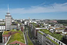 Grüne Dachlandschaften für Bremen - Visualisierung zeigt mögliche Gründächer