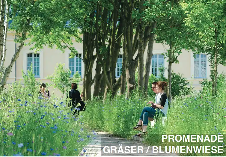 Grüne Promenade
