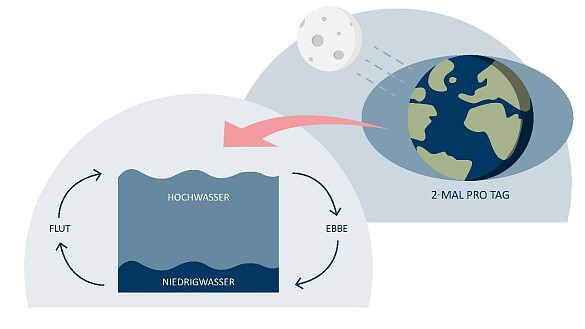 Abbildung: Hochwasser und Niedrigwasser durch Ebbe und Flut 