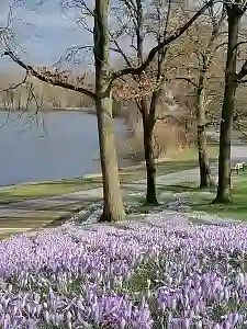 Grünzentrum Sodenmatt