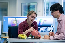 Zwei Personen betrachten das Modell einer Leber