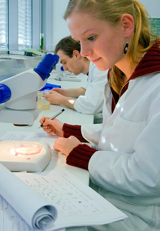 Frau guckt durch ein Mikroskop