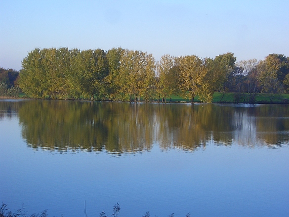 Blick über den Werdersee mit Pappelreihe