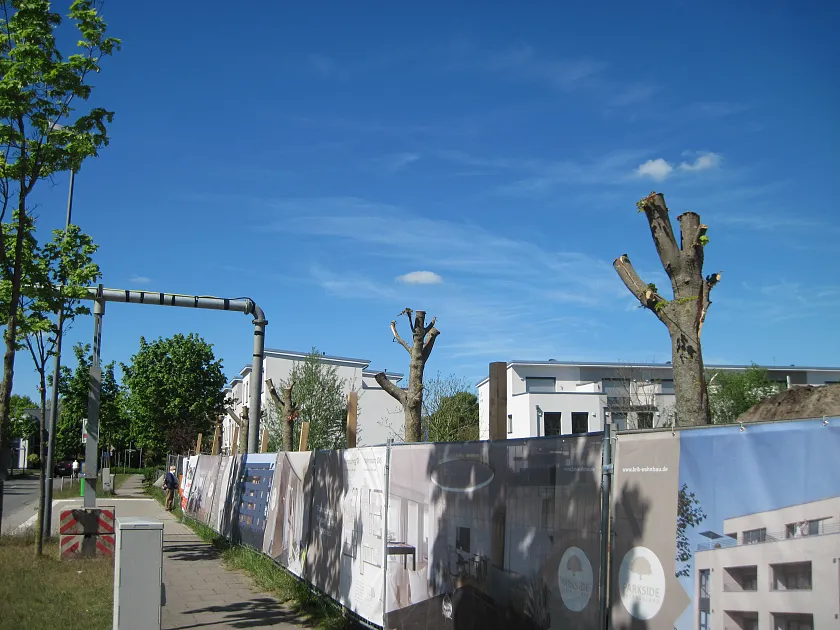Gek&ouml;pfte B&auml;ume auf einer Baustelle