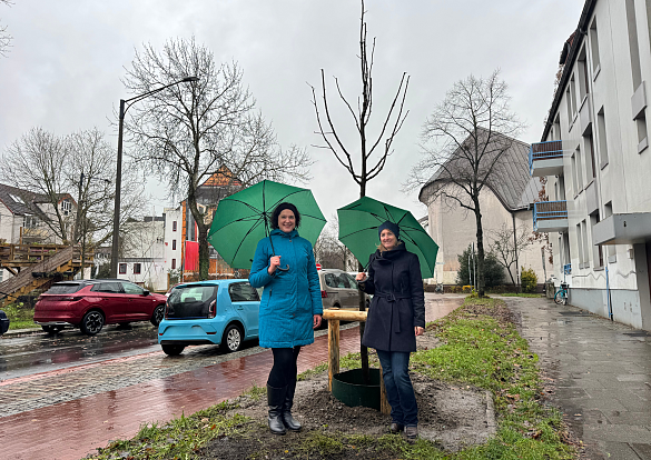 Symbolisch begrüßten Senatorin für Umwelt, Klima und Wissenschaft Kathrin Moosdorf (links) und Viola Hellwag, Geschäftsführerin des Umweltbetriebs Bremen, einen der ersten Jungbäume am Rembertikreisel in der Bremer Innenstadt. 