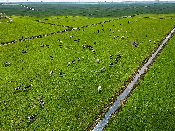 Moore schützen und Landwirtschaft betreiben: beides will das Projekt Green Moor vereinbaren. 