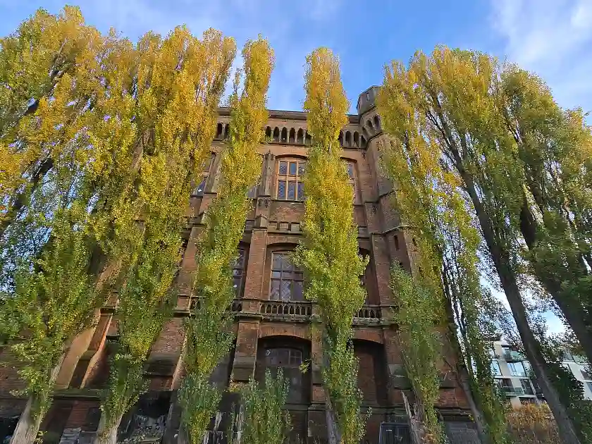 B&auml;ume vor der dem alten Wasserwerk auf dem Stadtwerder