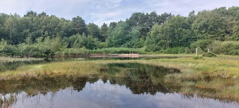 Heideweiher