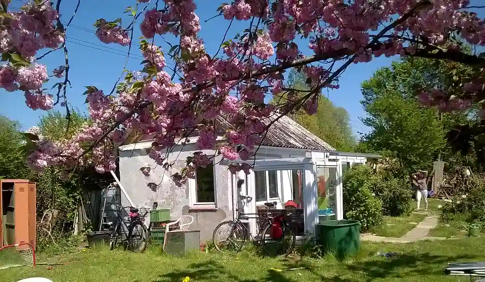 &copy; G&uuml;nter Egdmann - Durch die Corona-Einschr&auml;nkungen konnte ich viel Zeit im Garten verbringen, das sch&ouml;ne Wetter hat zu vielen sch&ouml;nen Motiven beigetragen