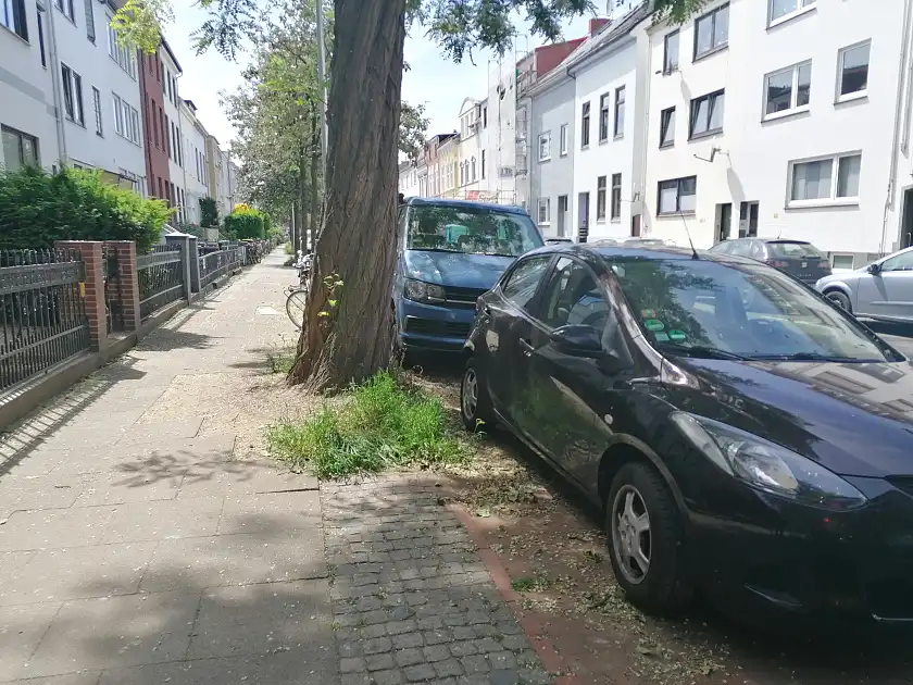 Parkende Autos auf einer Baumscheibe