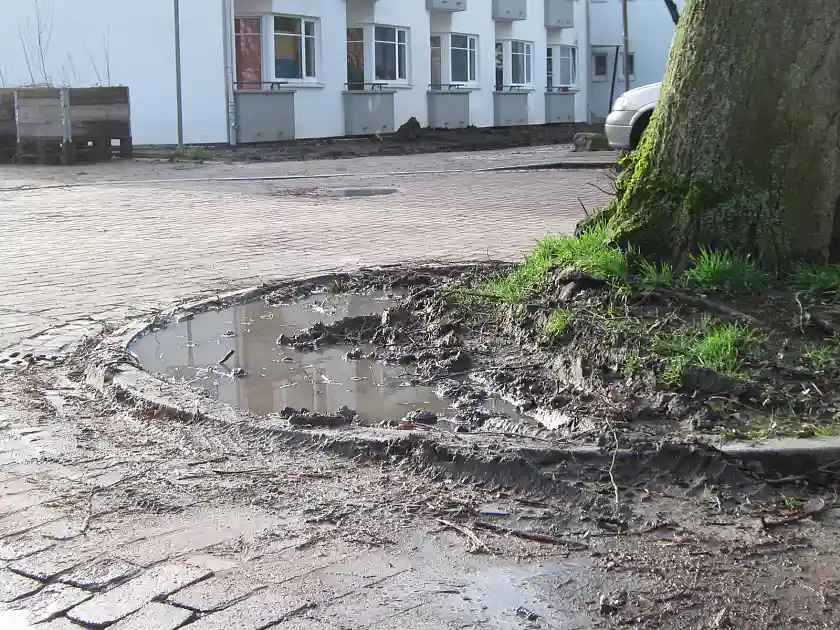 Eine in Pflaster eingefasste Baumscheibe, auf welcher Niederschlagswasser steht, welches aufgrund von Verdichtung nicht versickern kann.