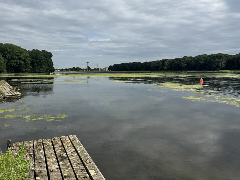 Blick auf den Werdersee