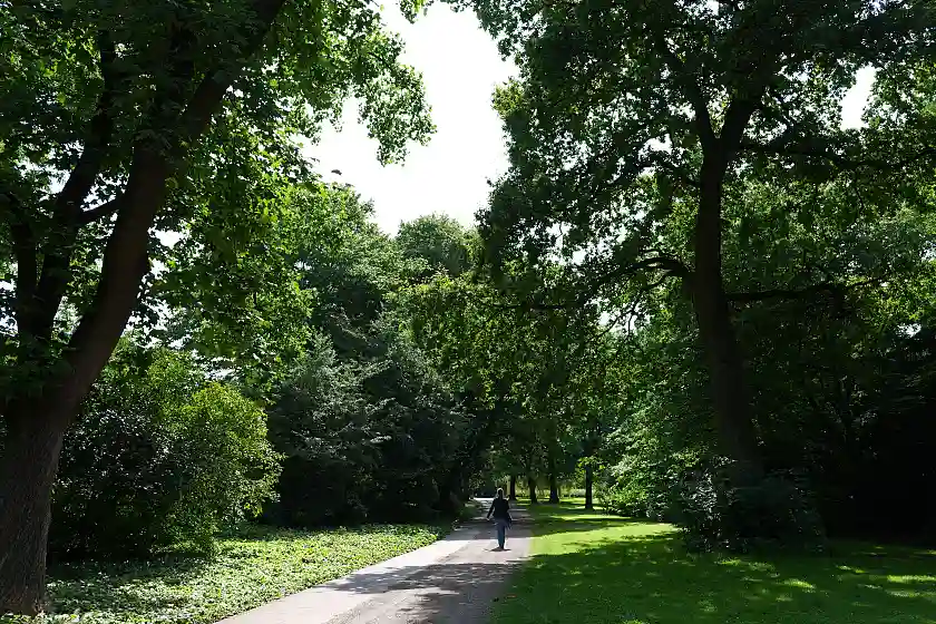 Spaziergänger unter Baumkronen im Hohentorspark