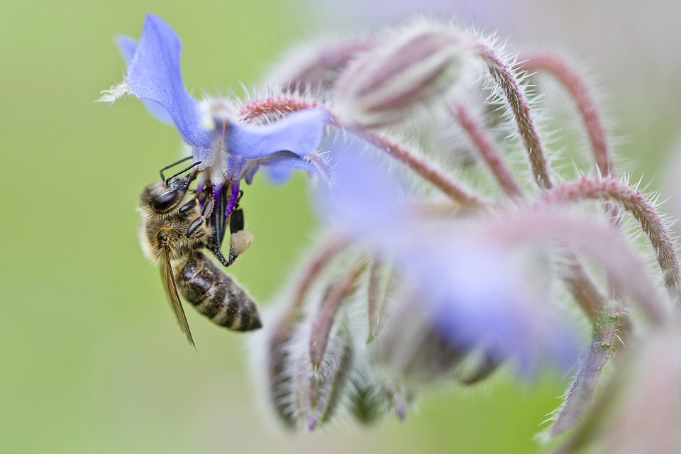 &copy; Robby Ballhause