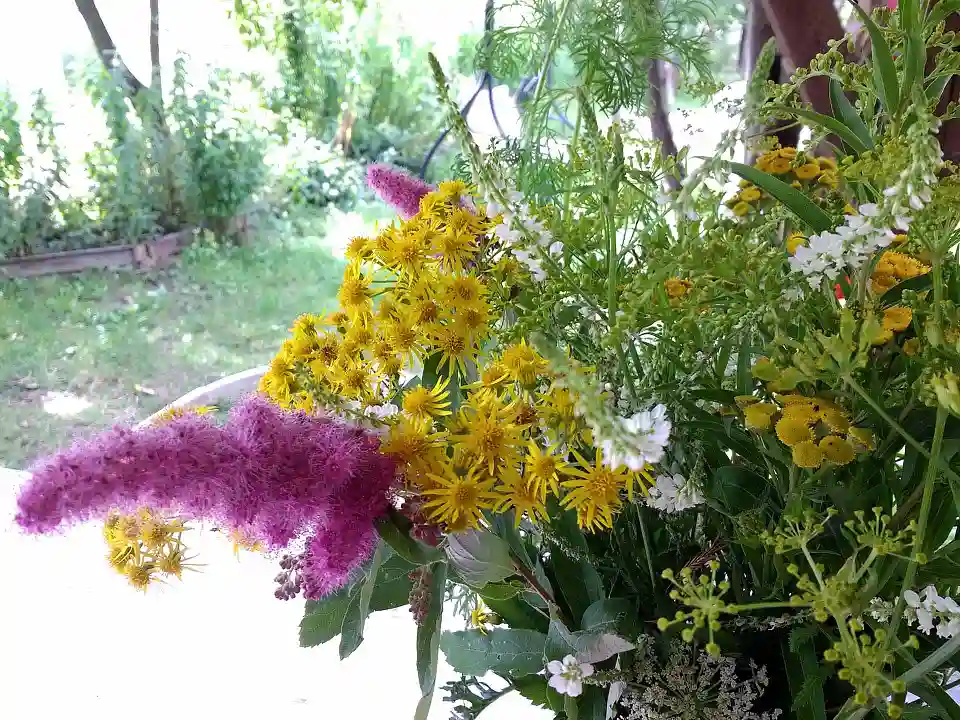 &copy; Vanessa Breuel - Internaionaler Garten Walle im Gr&uuml;nen Bremer Westen
