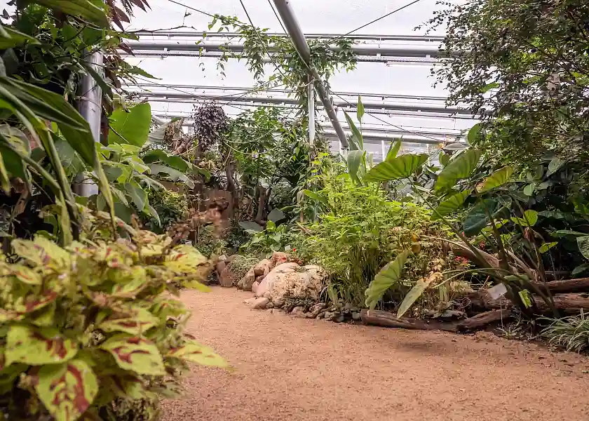 Tropenhaus in der botanika Bremen