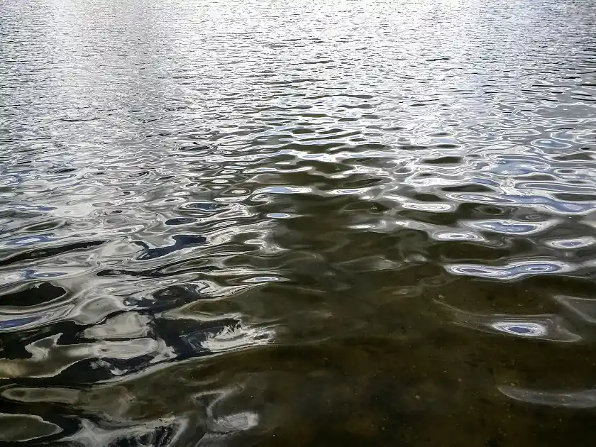 Bild von der Wasseroberfläche eines Sees