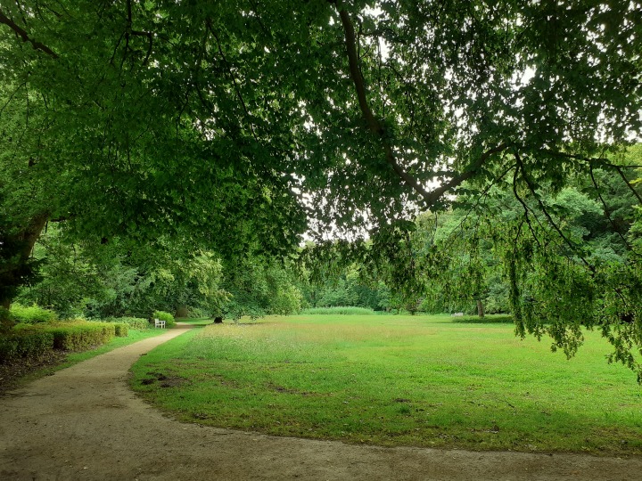 Themenjahr NATURlich Bremen 2025