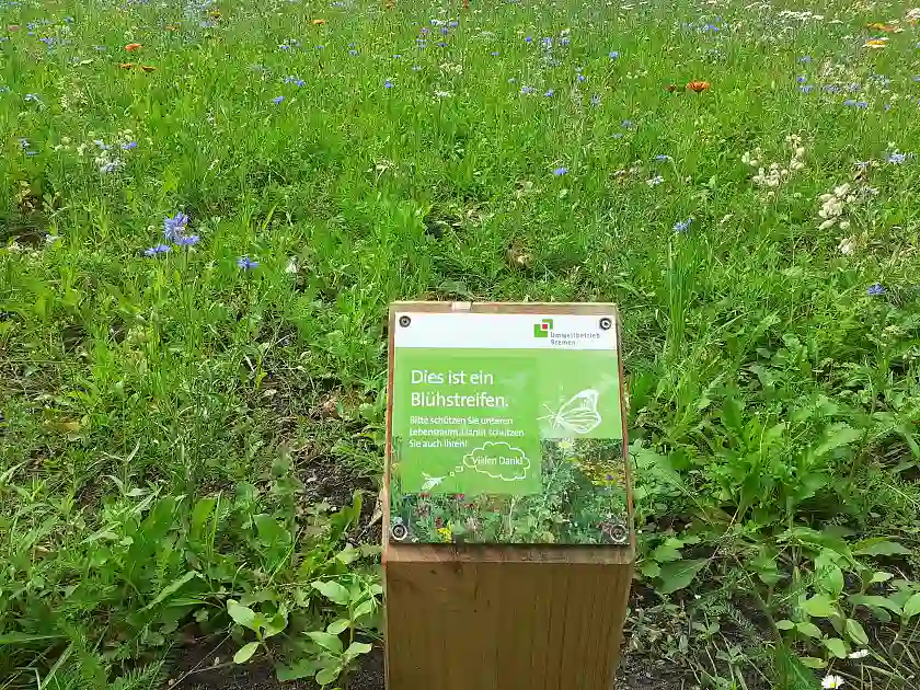 Blühwiese mit Schild