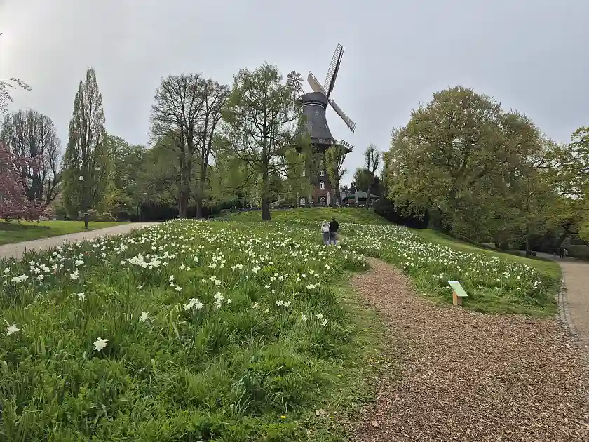 Naturnahe Wiese an der Wallmühle