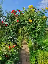 Farbenfrohe Kleingärten