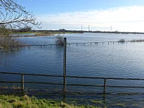 Hochwasser an der Mittelweser