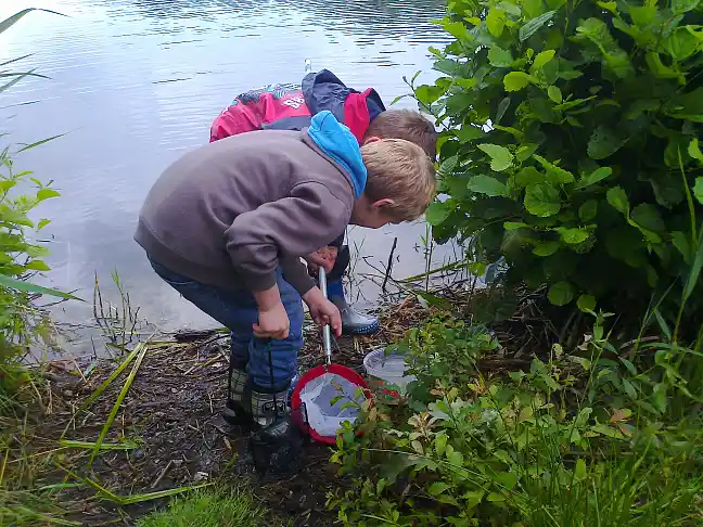 Das Foto zeigt zwei Jungen, die am Rande eines Sees über einen Kescher und Becher beugen, um ihren Fund zu begutachten.