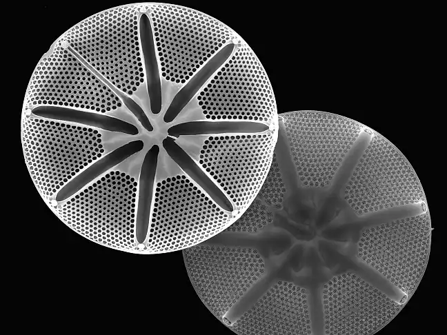 Beispielbild Windräder für das Themenfeld Klima und Energie beim Umweltressort Bremen