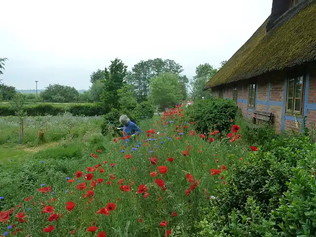 Ökologisches Handeln