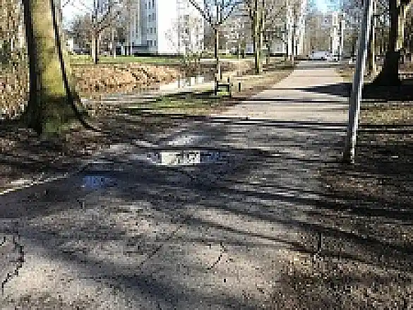 Grünanlage am Achterkampsfleet wird aufgewertet