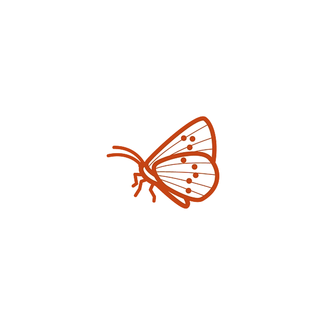 Bremisches Insektenschutzprogramm 2030