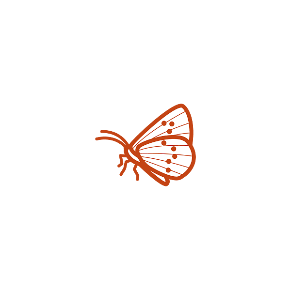 Bremisches Insektenschutzprogramm 2030