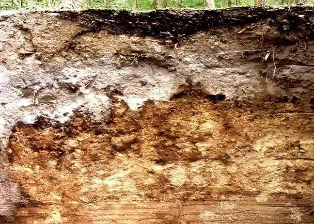 Verschiedene Bodenschichten als Thema für Boden und Altlasten beim Umweltressort Bremen