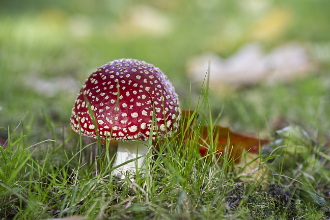 Natur und Landschaft 