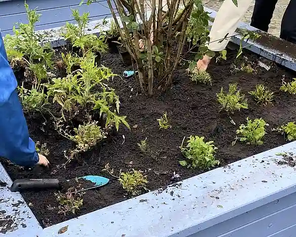 Gröpelingen blüht zum Tag der Biodiversität auf