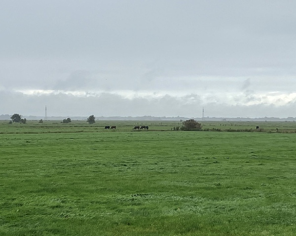 Landwirte erhalten finanziellen Ausgleich für Hochwasserschäden