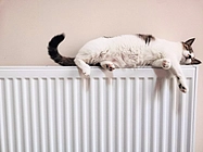Eine Katze liegt auf einer Heizung