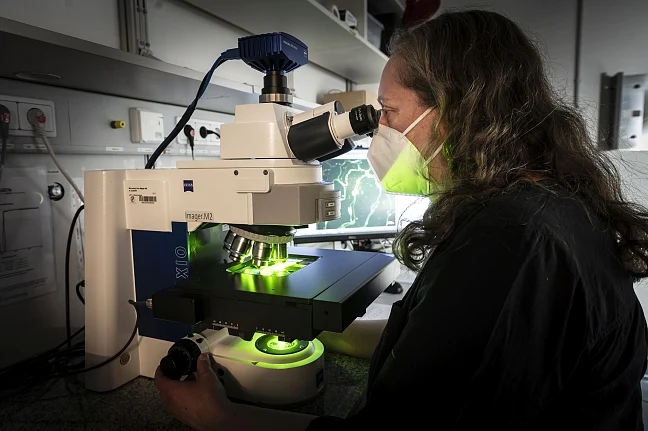 Eine Wissenschaftlerin untersucht Proben mithilfe eines Mikroskops