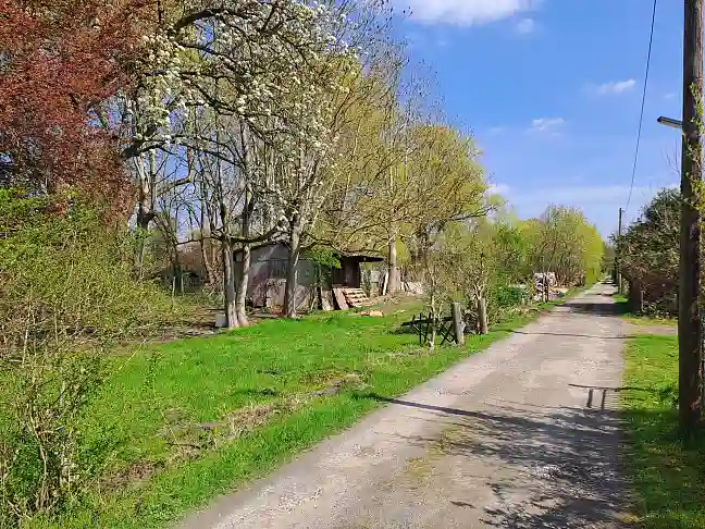 Der Weltacker im Frühling
