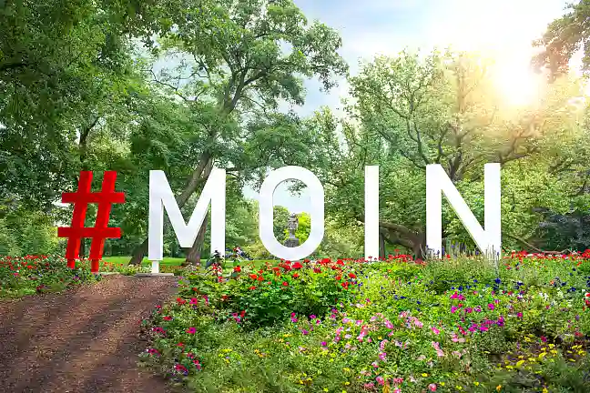 Der Schriftzug MOIN steht auf einer Blumenwiese. 